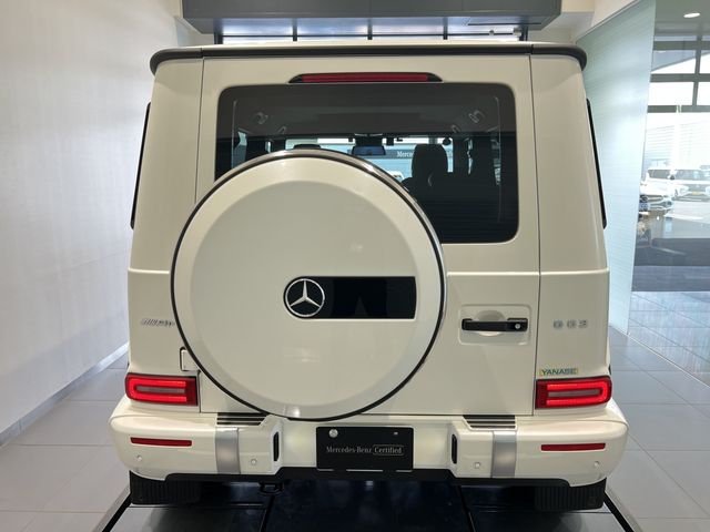 Amg G-CLASS 2021-06 11592-19