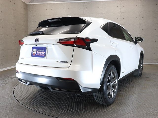 Lexus NX 2014-09 25394-1
