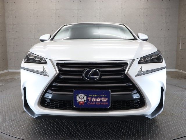 Lexus NX 2014-09 25394-20