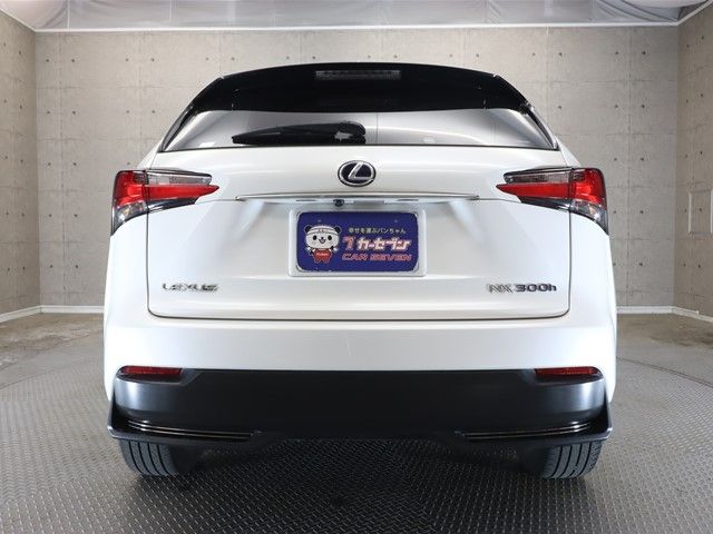 Lexus NX 2014-09 25394-23