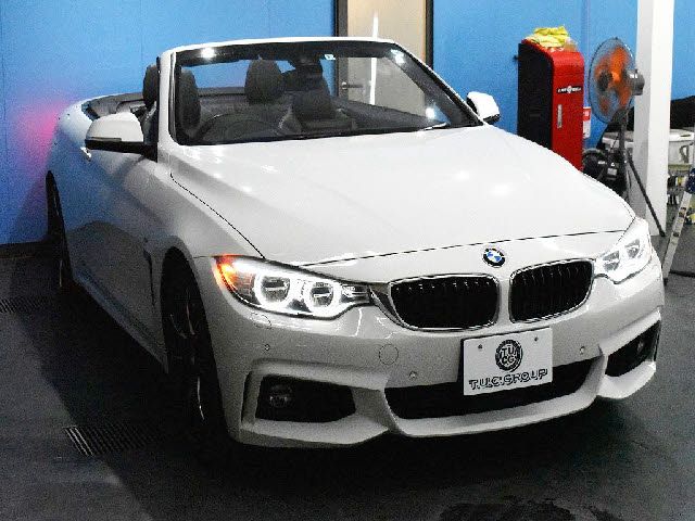 Bmw 4 SERIES 2014-03 3319-11