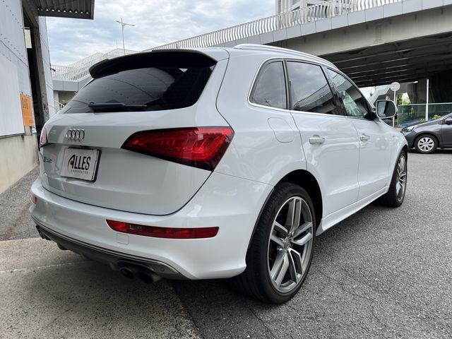 Audi SQ5 2014-08 15138-5