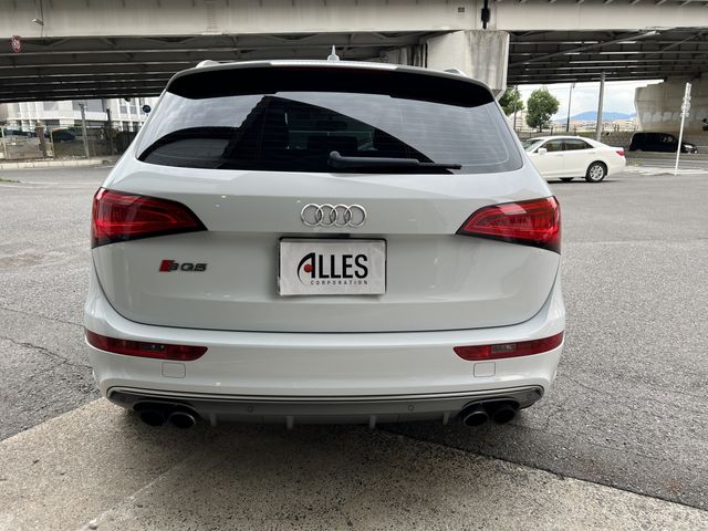 Audi SQ5 2014-08 15138-7