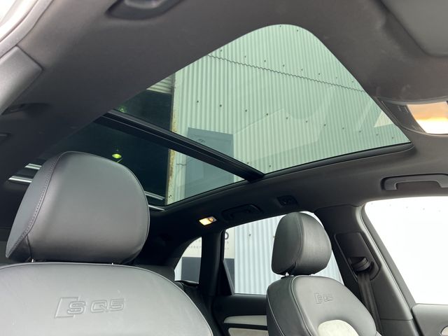 Audi SQ5 2014-08 15138-23