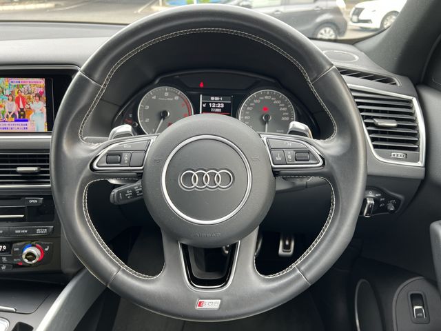 Audi SQ5 2014-08 15138-17