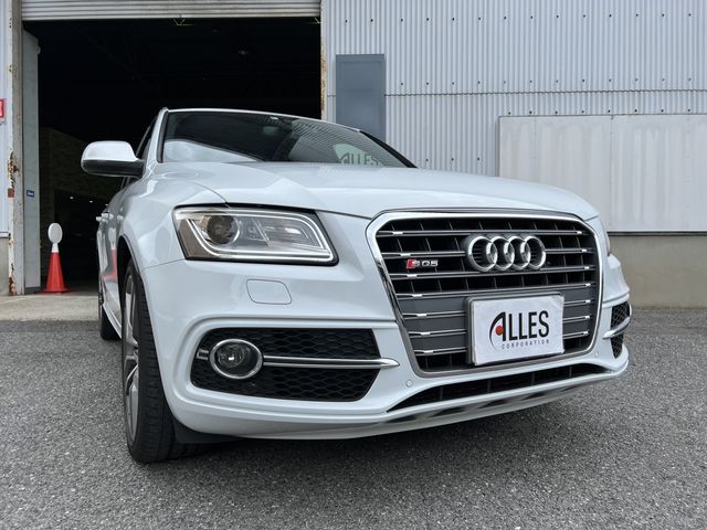 Audi SQ5 2014-08 15138-0