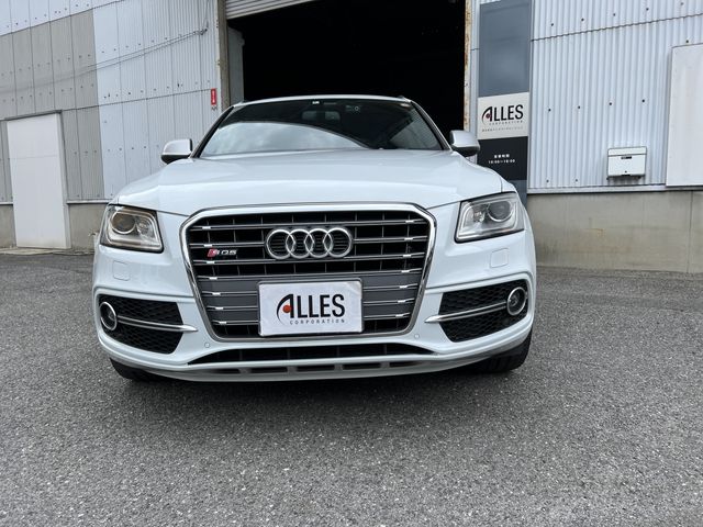 Audi SQ5 2014-08 15138-2