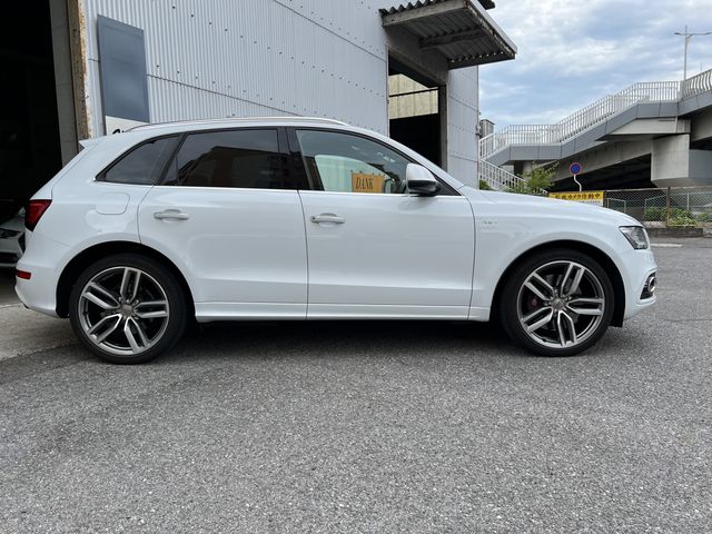Audi SQ5 2014-08 15138-4