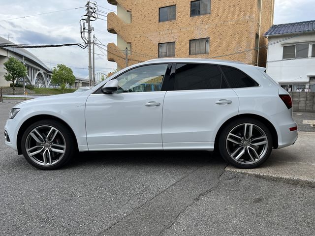 Audi SQ5 2014-08 15138-8