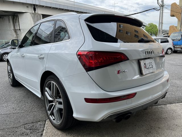 Audi SQ5 2014-08 15138-6