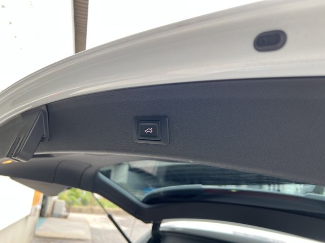 Audi SQ5 2014-08 15138-28