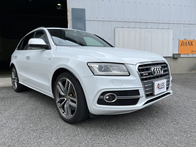 Audi SQ5 2014-08 15138-1