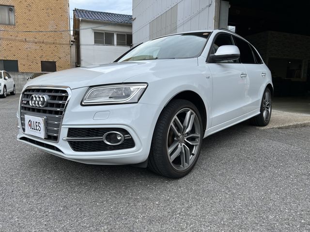 Audi SQ5 2014-08 15138-3
