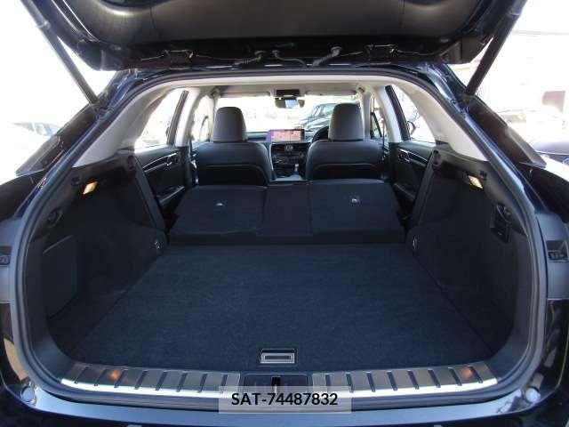 Lexus RX 2019-02 212622-7