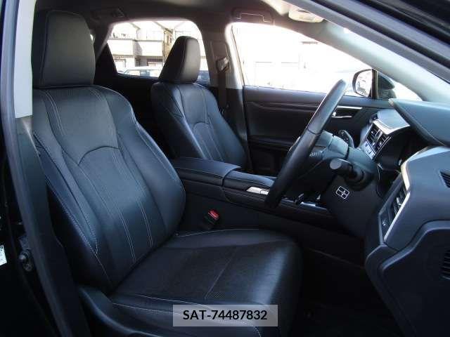 Lexus RX 2019-02 212622-6