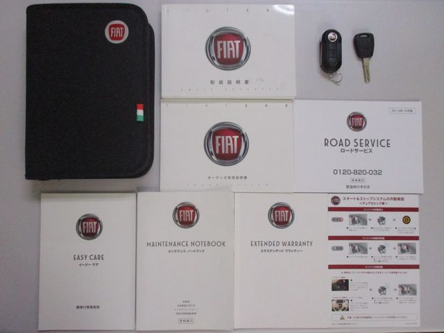 Fiat 500 2014-03 15808-27