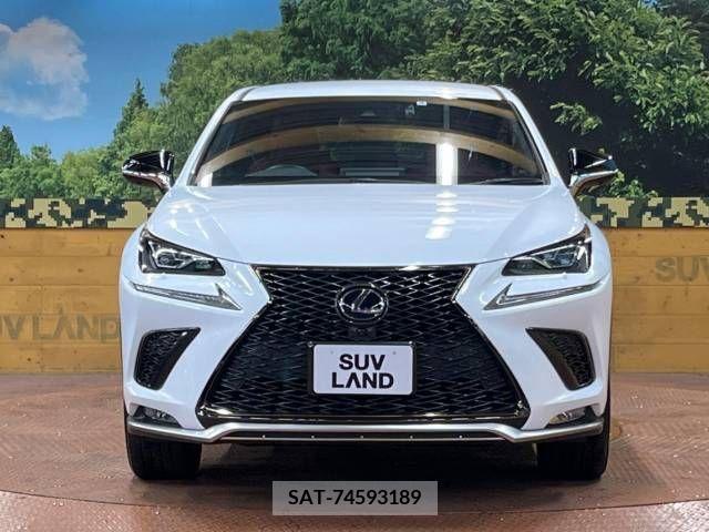 Lexus NX 2021-06 275689-14