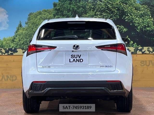 Lexus NX 2021-06 275689-15
