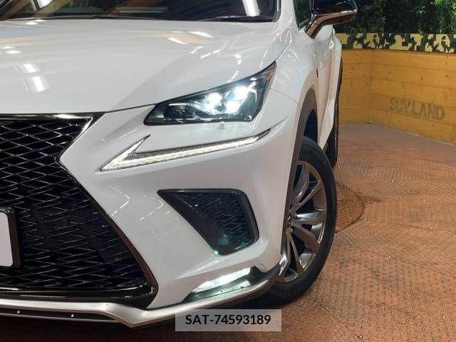 Lexus NX 2021-06 275689-12