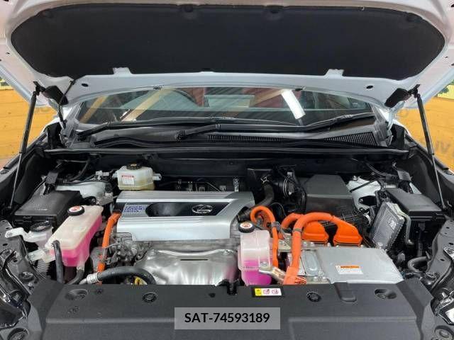 Lexus NX 2021-06 275689-18