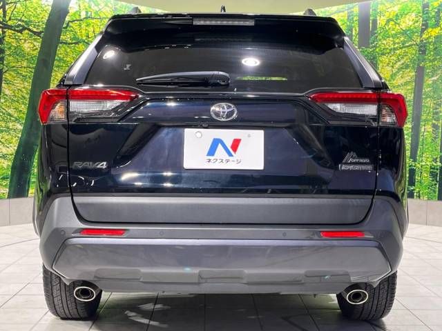 Toyota RAV4 2021-07 10245-15