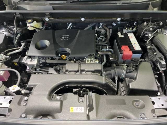 Toyota RAV4 2021-07 10245-18