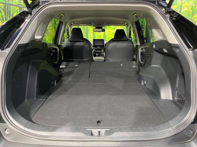 Toyota RAV4 2021-07 10245-10