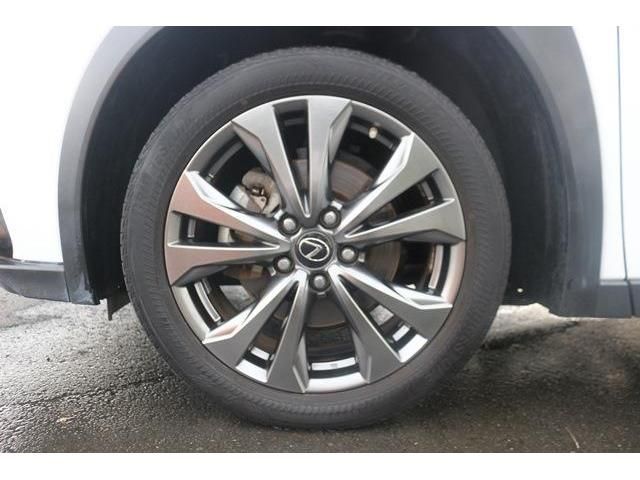 Lexus UX 2019-02 9154-8