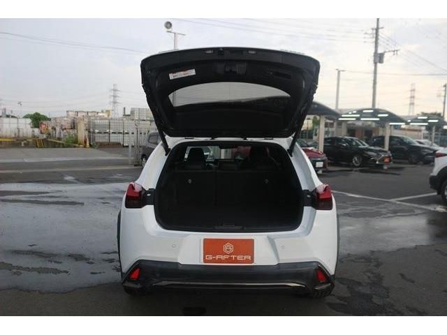Lexus UX 2019-02 9154-10