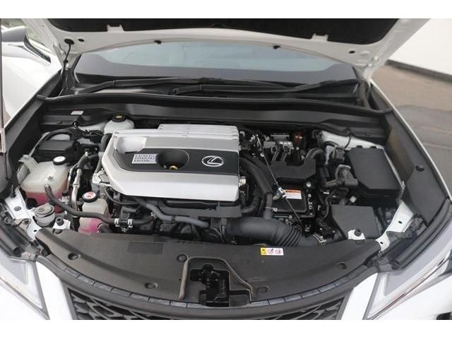 Lexus UX 2019-02 9154-18