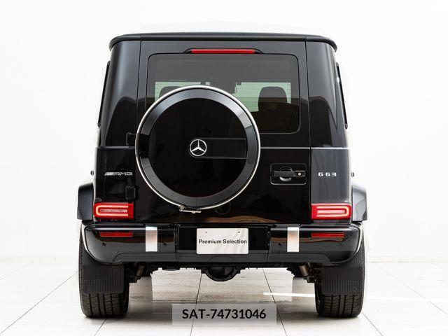 Amg G-CLASS 2019-07 211802-10