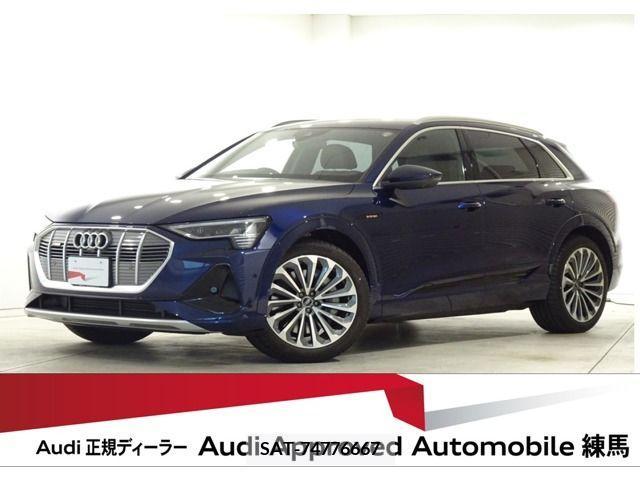 Audi E-TRON 2023-06 318028-0