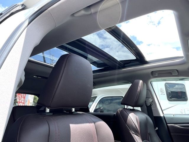 Lexus RX 2019-12 4940-19