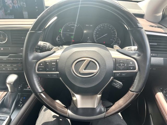 Lexus RX 2019-12 4940-21