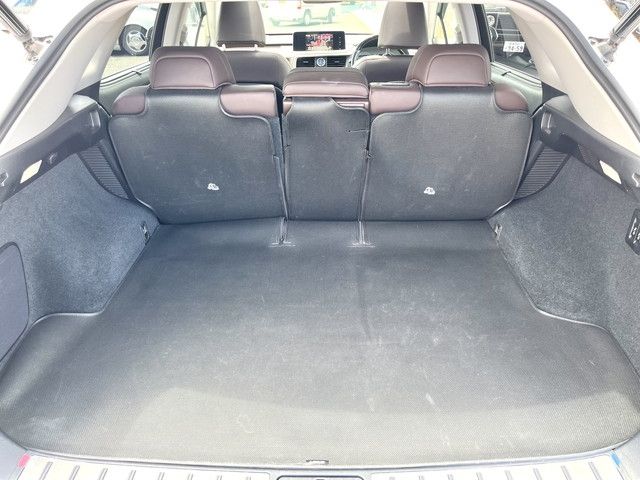 Lexus RX 2019-12 4940-8