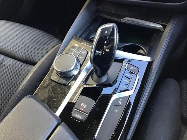 Bmw 5 SERIES 2017-06 18245-21