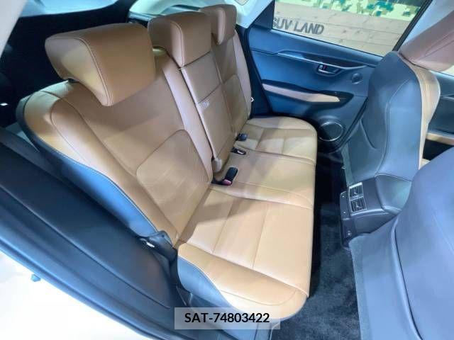 Lexus NX 2018-10 275681-12