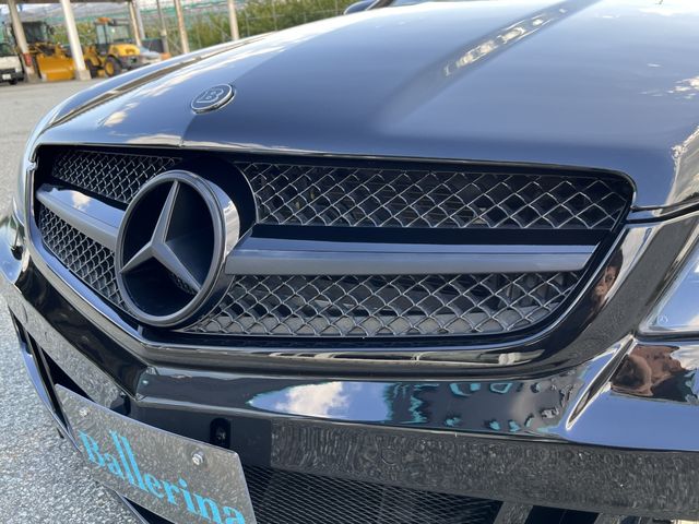 Amg SL 2009-03 9239-20