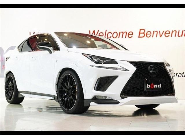Lexus NX 2019-09 2403-0