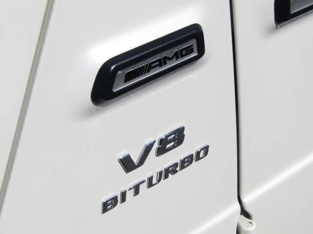 Amg G-CLASS 2020-03 24947-6