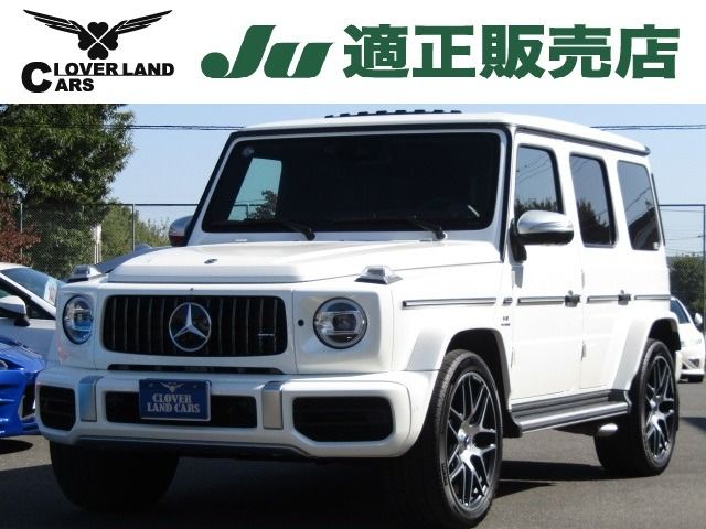 Amg G-CLASS 2020-03 24947-0