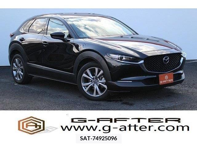 Mazda CX-30 2019-12 203346-0