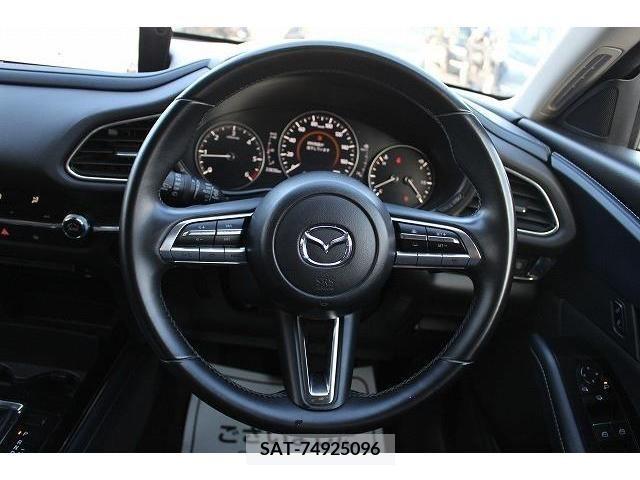 Mazda CX-30 2019-12 203346-18