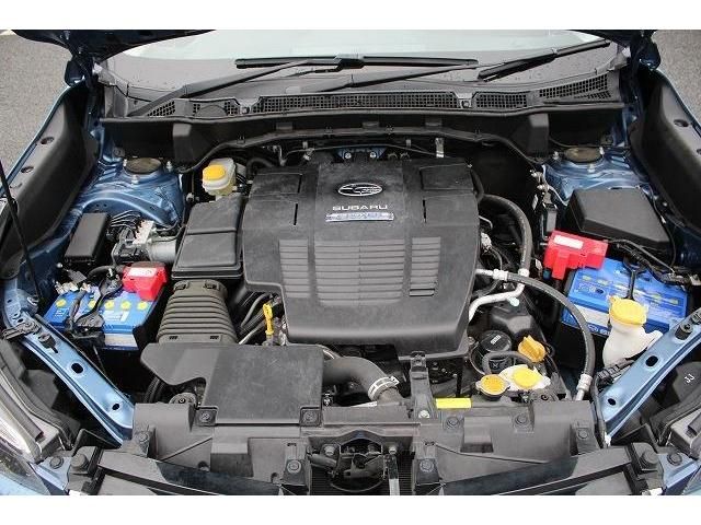 Subaru FORESTER 2018-11 183681-18