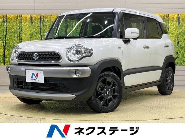 Suzuki X BEE 2018-04 13218-0