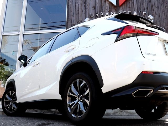Lexus NX 2017-10 497-9