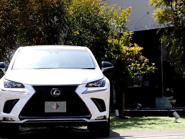 Lexus NX 2017-10 497-4