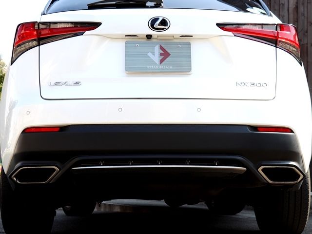 Lexus NX 2017-10 497-11