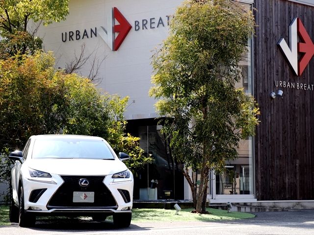 Lexus NX 2017-10 497-5