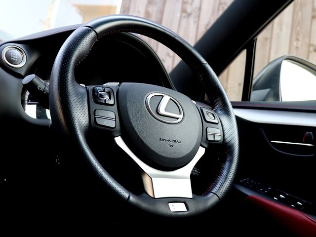 Lexus NX 2017-10 497-13